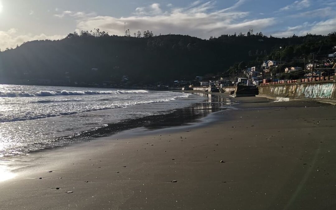 Playa Los Molinos en Valdivia